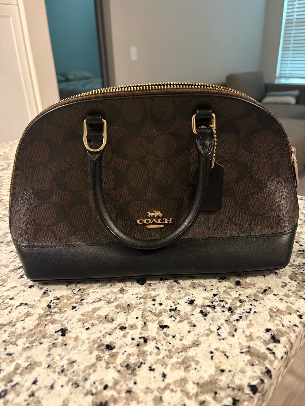 Coach Brown Signature Dome Satchel with Black Trim and Gold Hardware